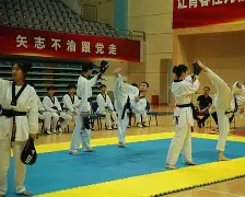跆拳道夜战:泰山灰熊队逆转瓯越貔貅队,主帅临场妙招边路成突破口 跆拳道夜战:泰山灰熊队逆转瓯越貔貅队,主帅临场妙招边路成突破口